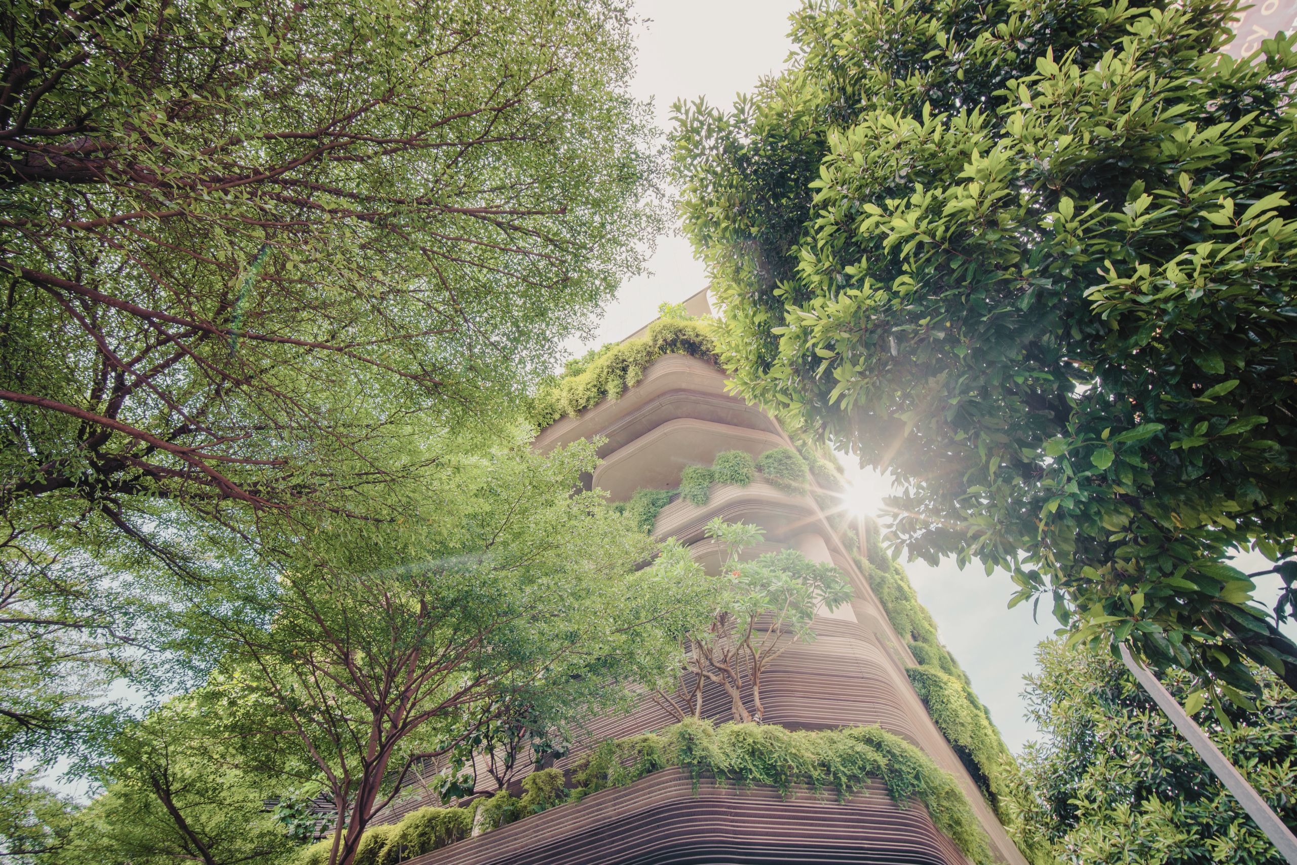 Sustainable Impact